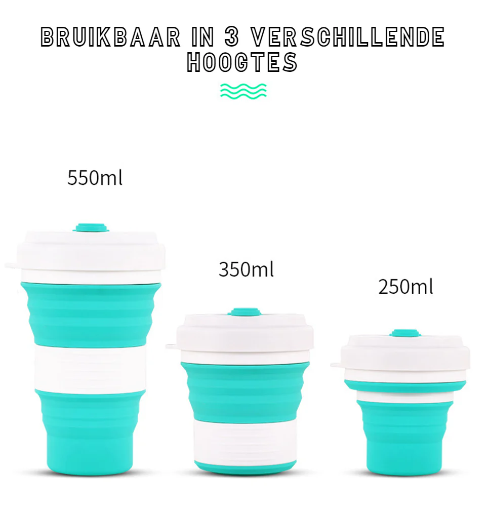 Miniatuur 16