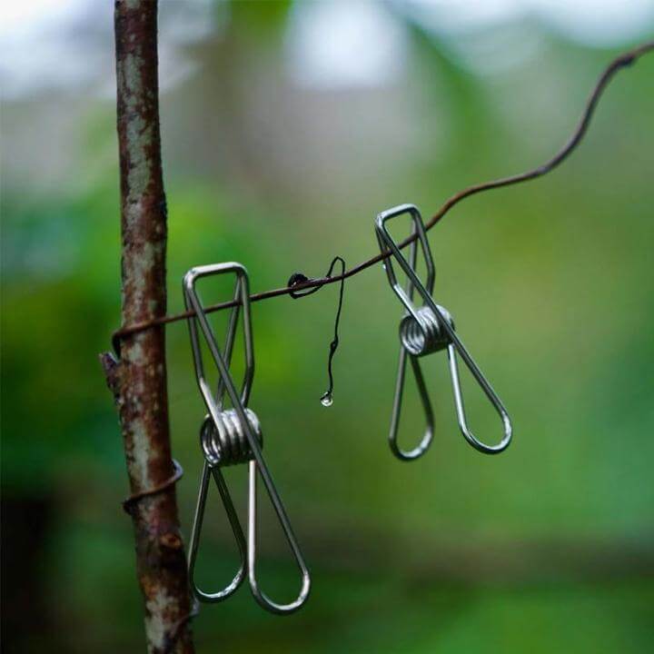 Miniatuur 12