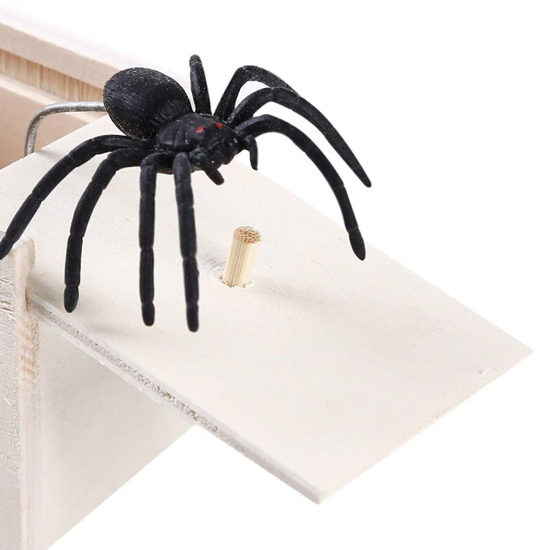 Miniatuur 5