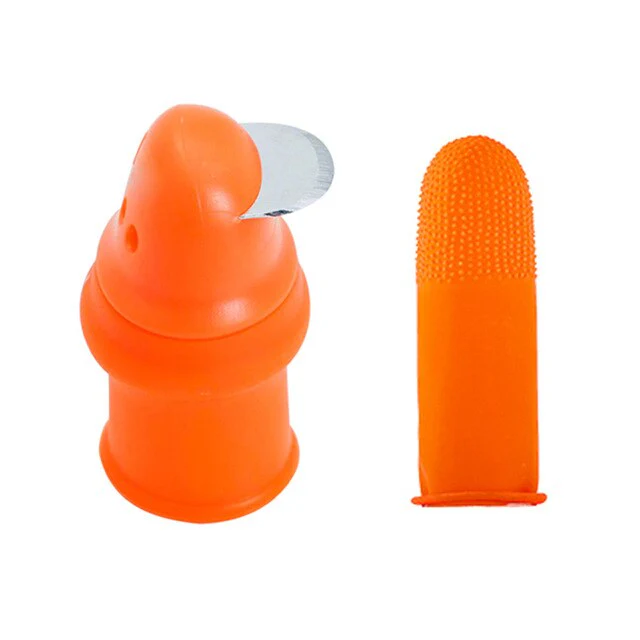 Miniatuur 1