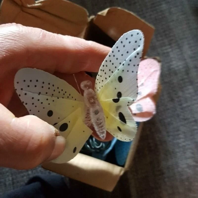 Miniatuur 10