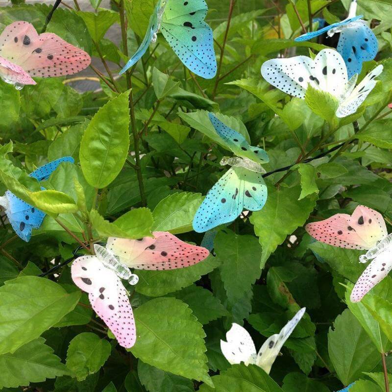 Miniatuur 3