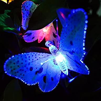 Miniatuur 8
