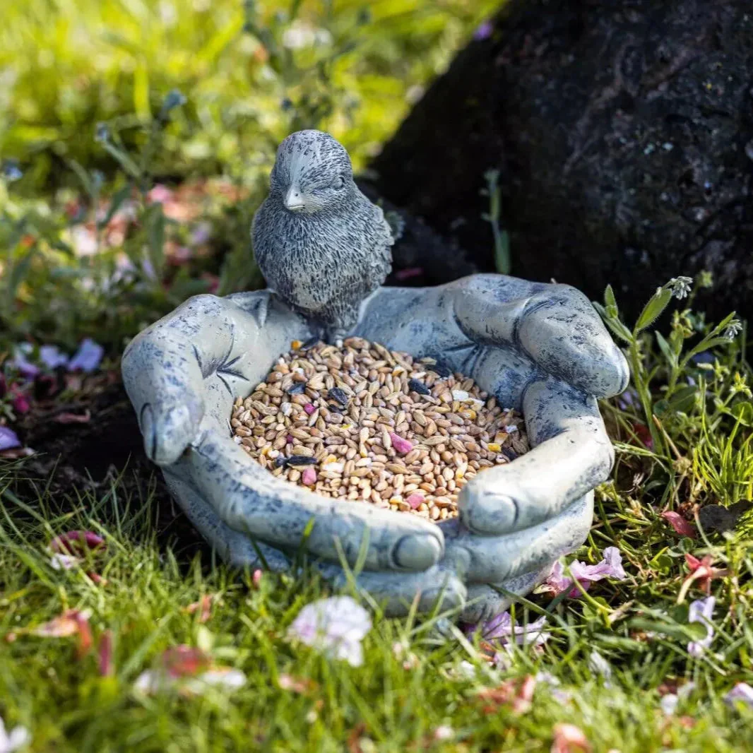 Miniatuur 3