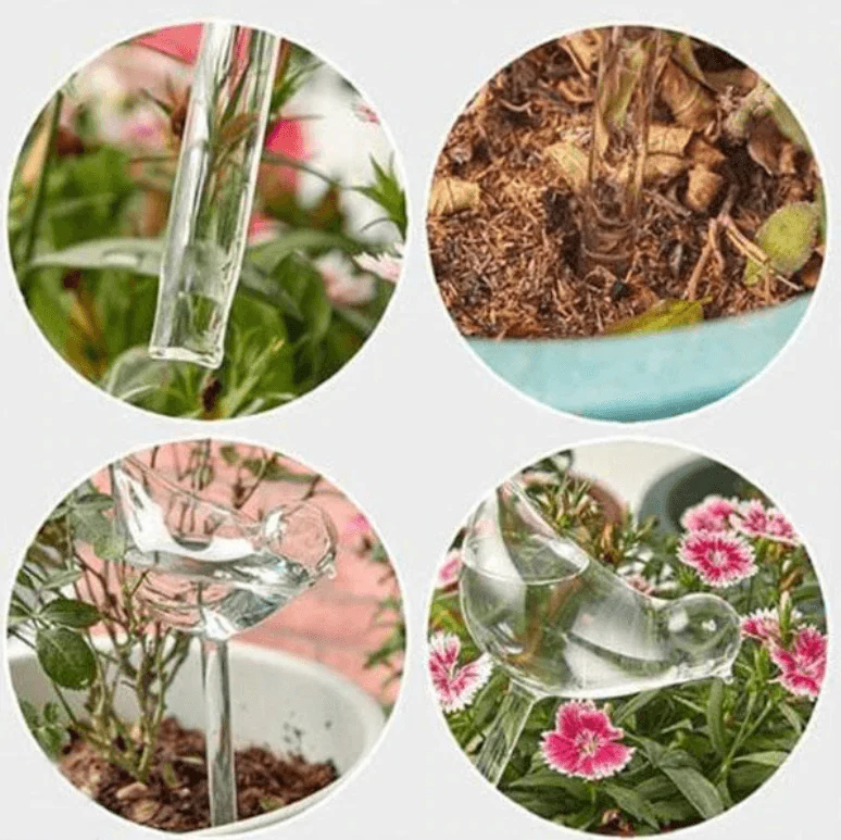 Miniatuur 12