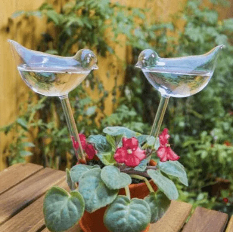 Miniatuur 2