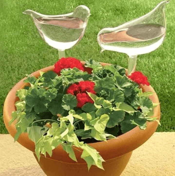 Miniatuur 5