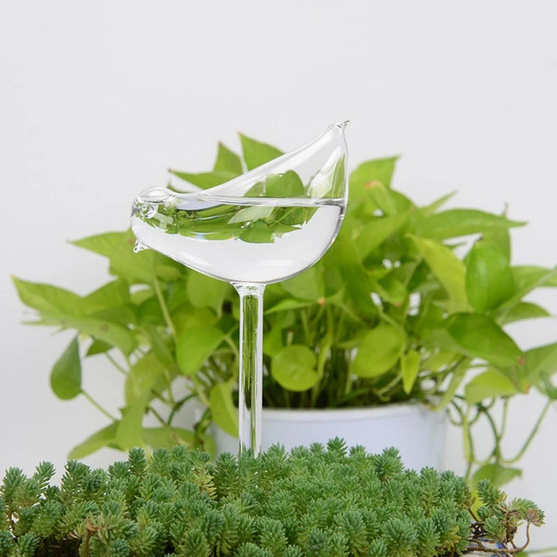 Miniatuur 6