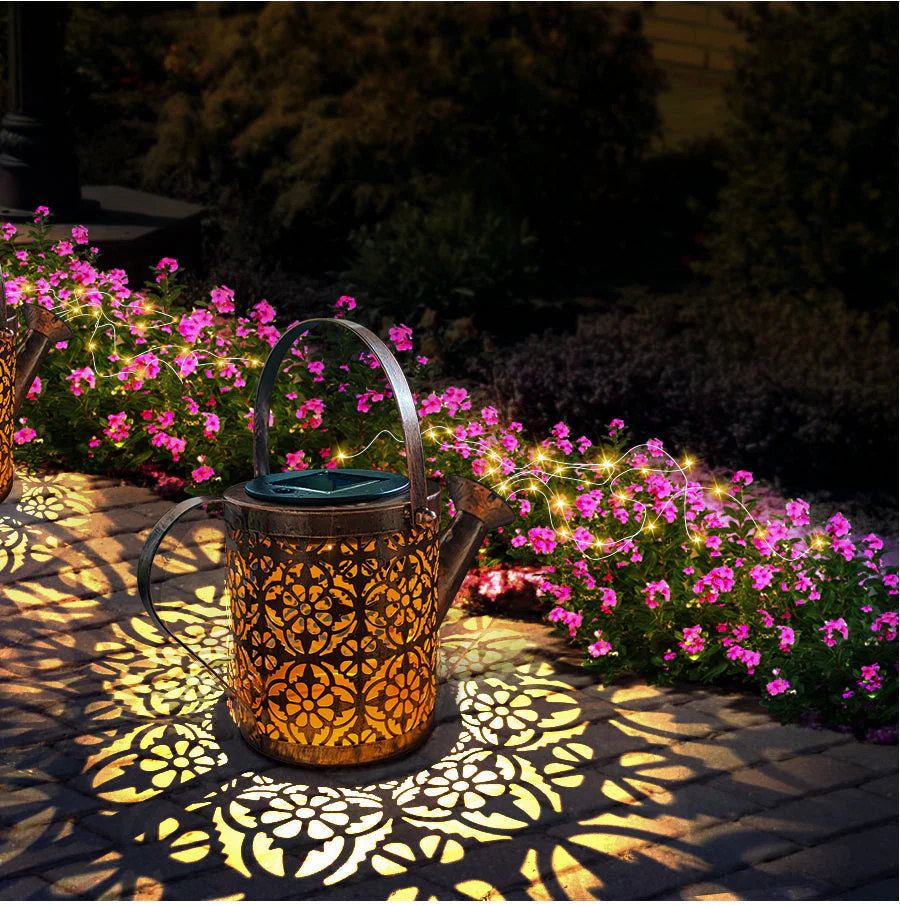 Miniatuur 5